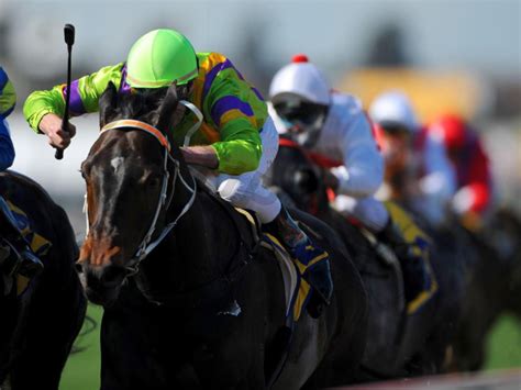 horse racing betting forum|Iba pa.